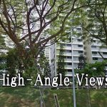 High-Angle Views