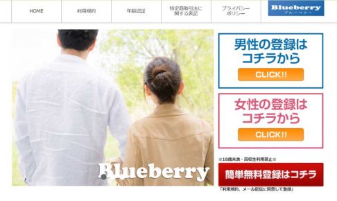 Blueberrry/ブルーベリー