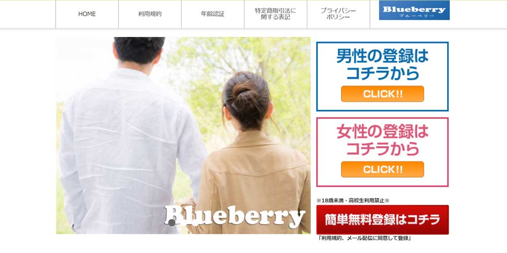 Blueberrry/ブルーベリー