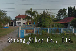 Strong Vibes Co., Ltd.