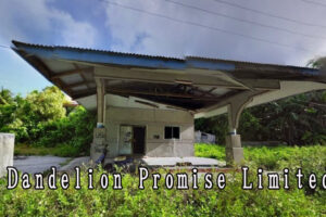 Dandelion Promise Limited