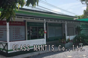 GLASS MANTIS Co.,Ltd.