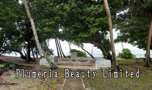 Plumeria Beauty Limited