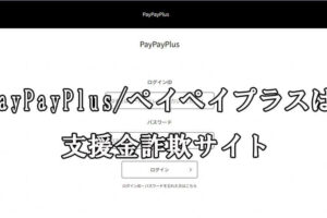 PayPayPlus/ペイペイプラス