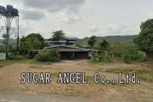 SUGAR ANGEL Co.,Ltd.