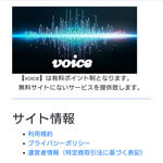 voice/ボイス