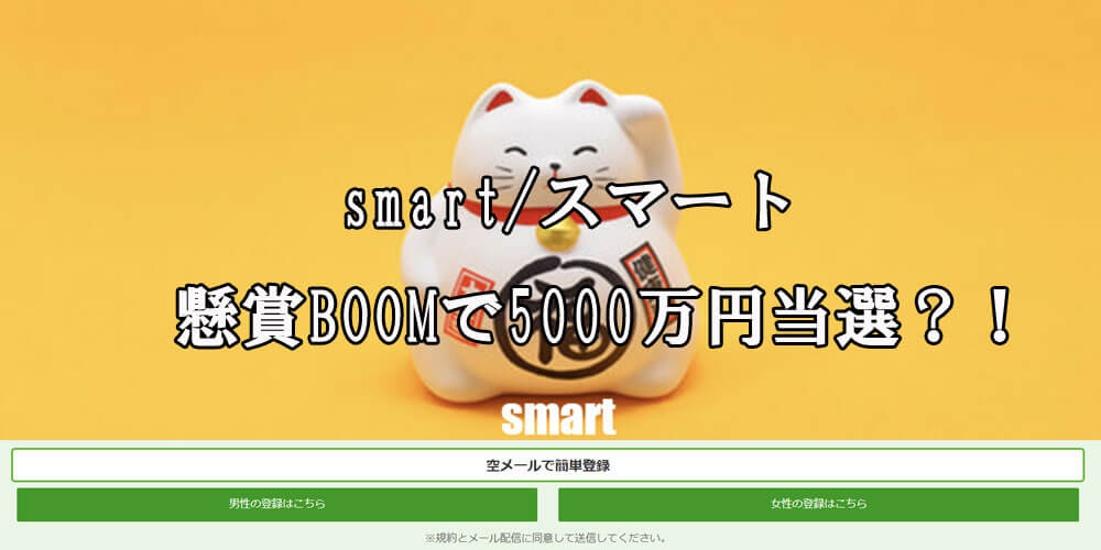 smart/スマート