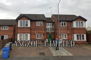 ANGZOE LIMITED